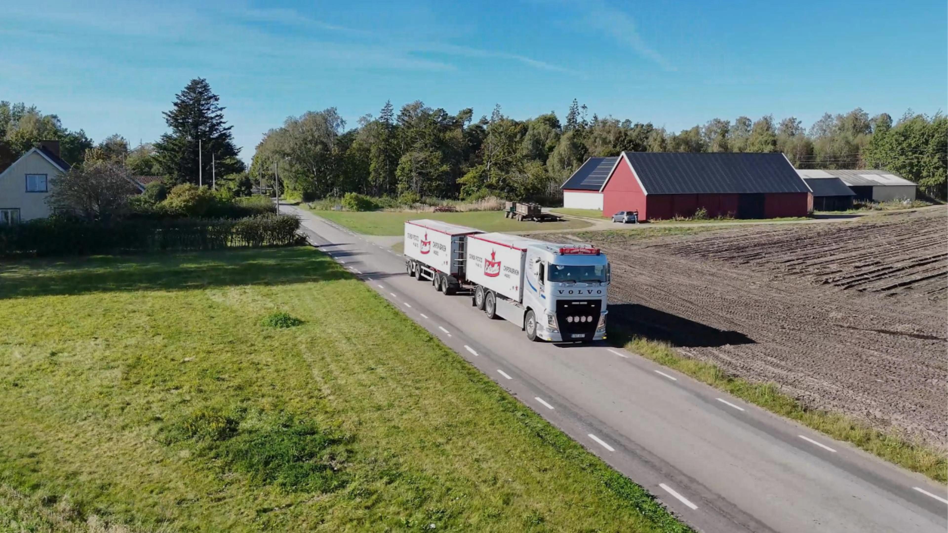 Potatiskampanj-Estrella